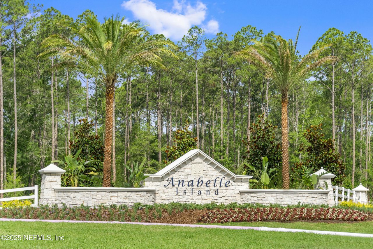 2967 Monroe Lakes Terrace, Green Cove Springs, FL 32043 Photo