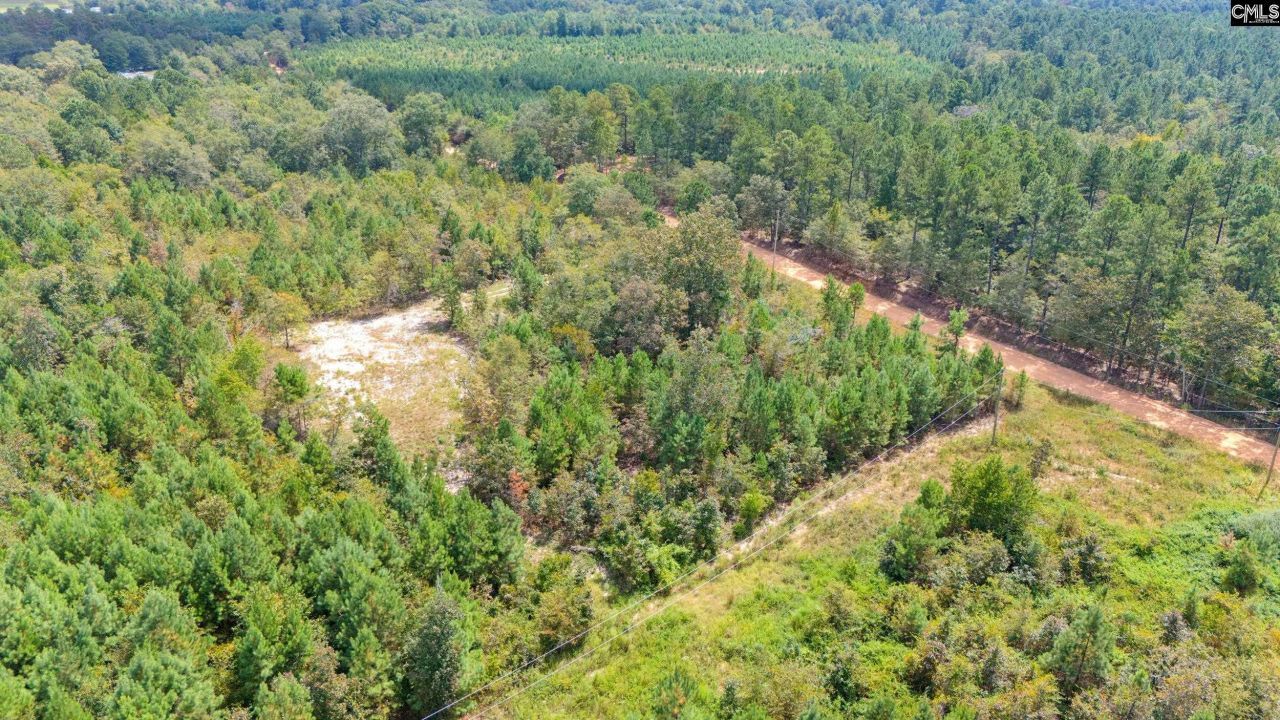 Bachman Dykes Road Photo 11