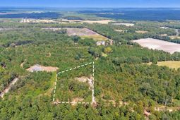 Bachman Dykes Road photo 4