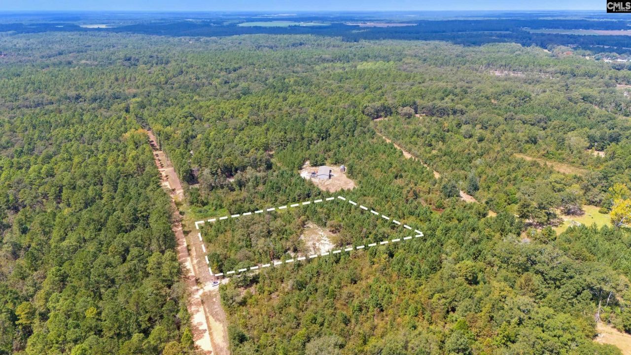 Bachman Dykes Road Photo 4