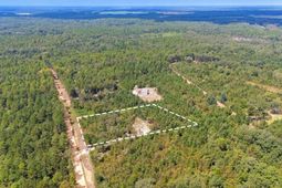 Bachman Dykes Road photo 4