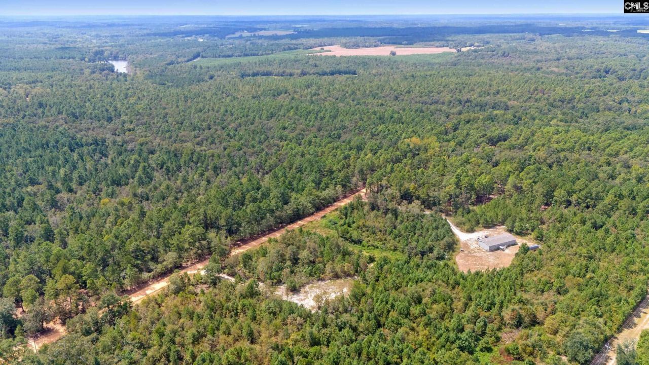 Bachman Dykes Road Photo 5