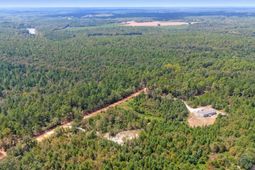 Bachman Dykes Road photo 4