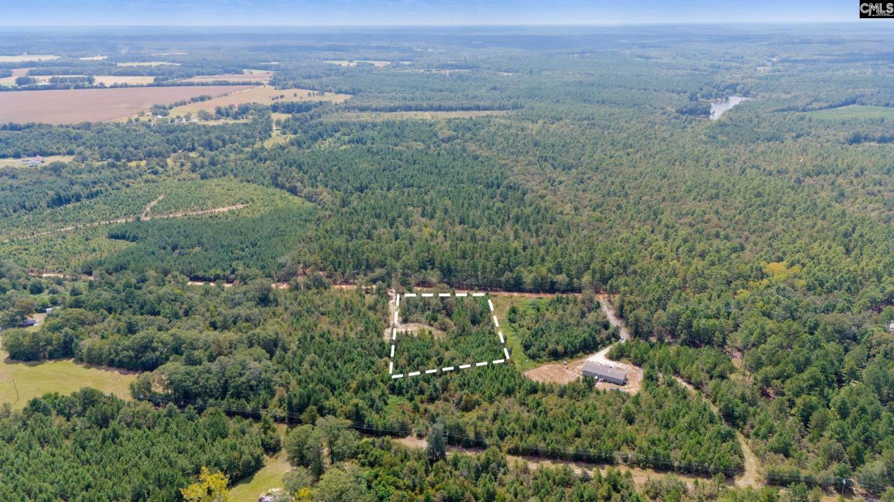 Bachman Dykes Road Photo 6