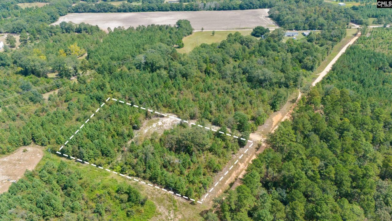 Bachman Dykes Road Photo 8