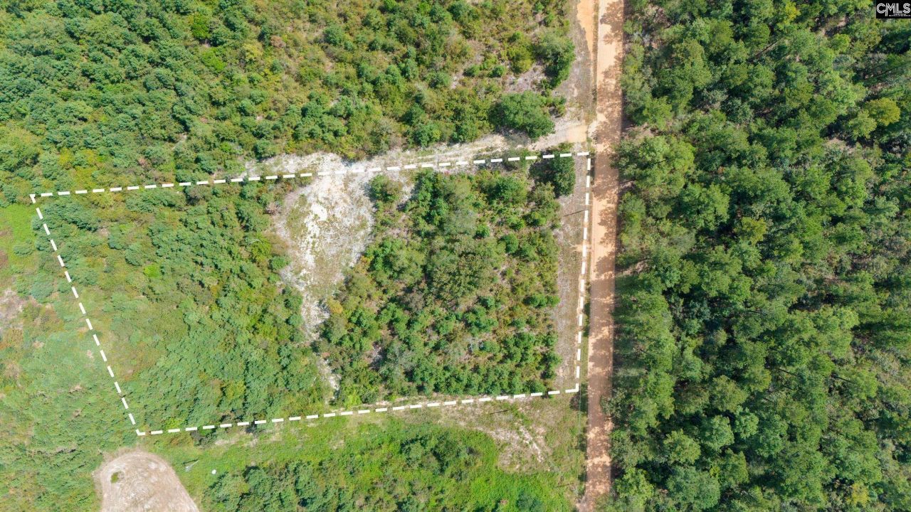 Bachman Dykes Road Photo 9