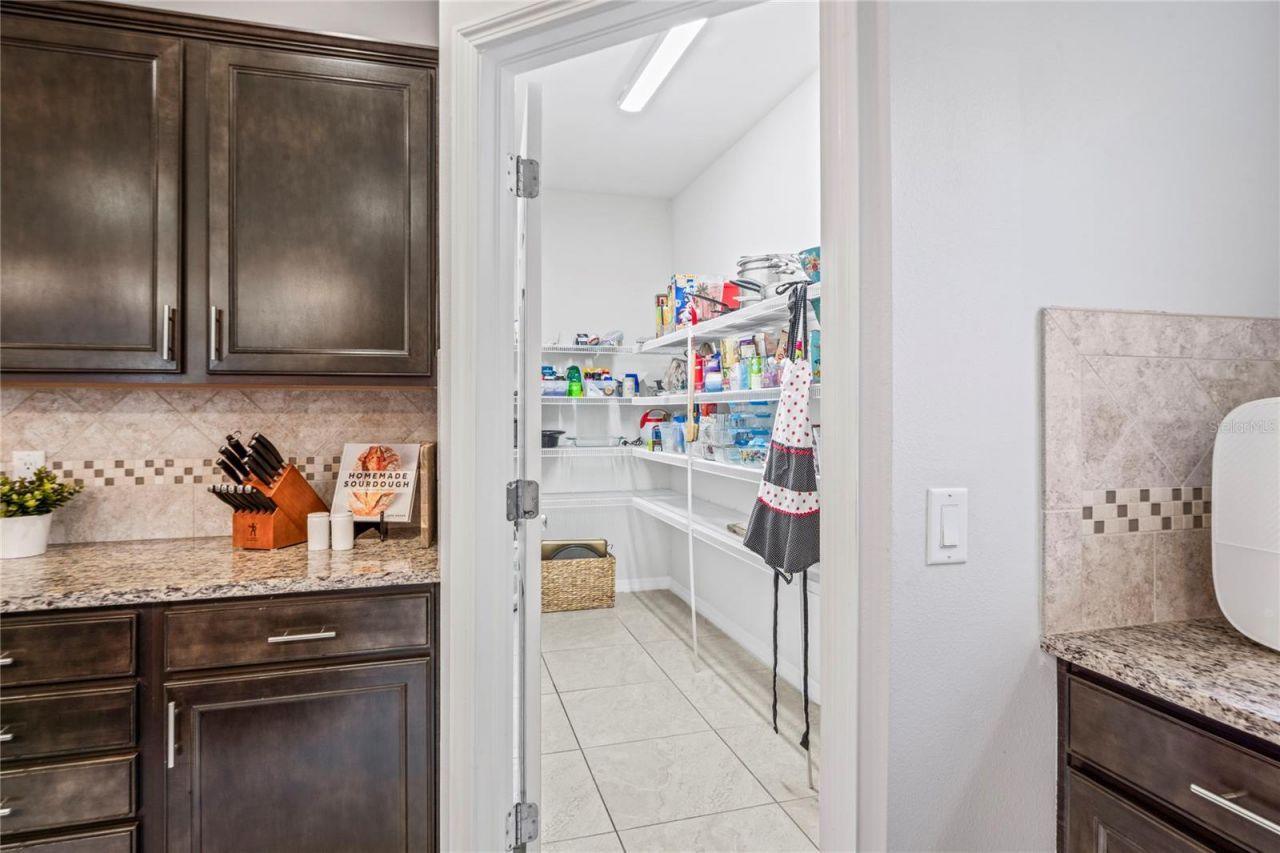 4514 Highfalls Drive, Valrico, FL 33594 Photo