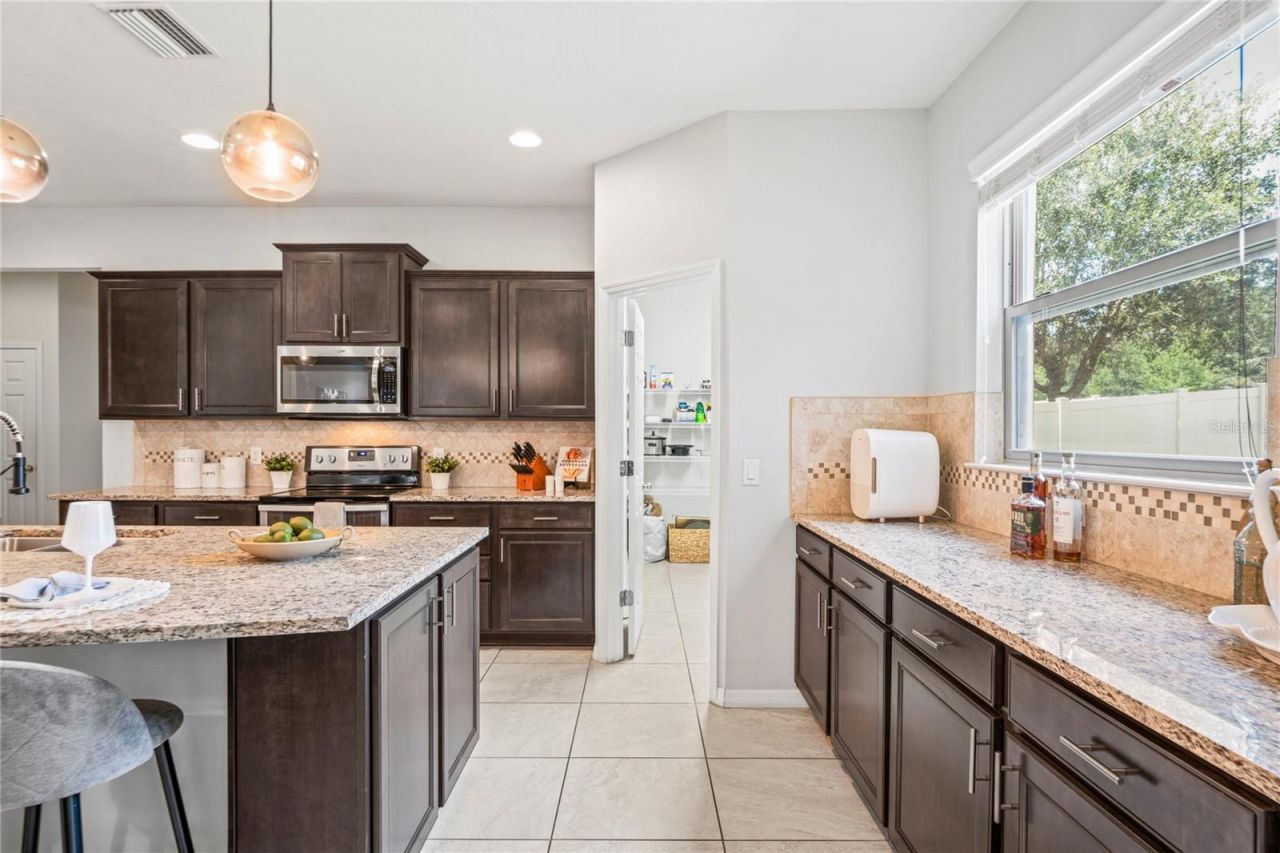 4514 Highfalls Drive, Valrico, FL 33594 Photo