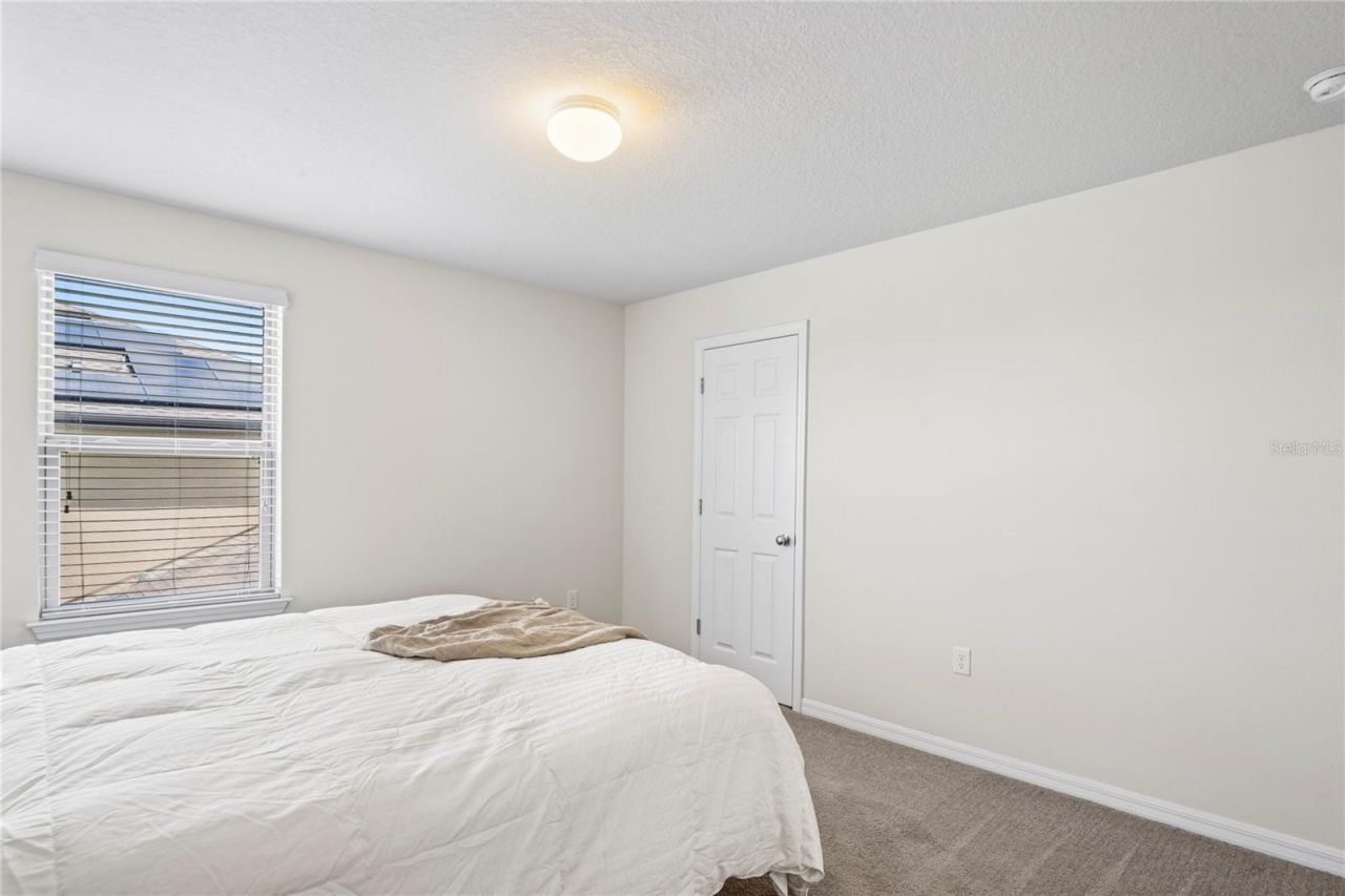 4514 Highfalls Drive, Valrico, FL 33594 Photo