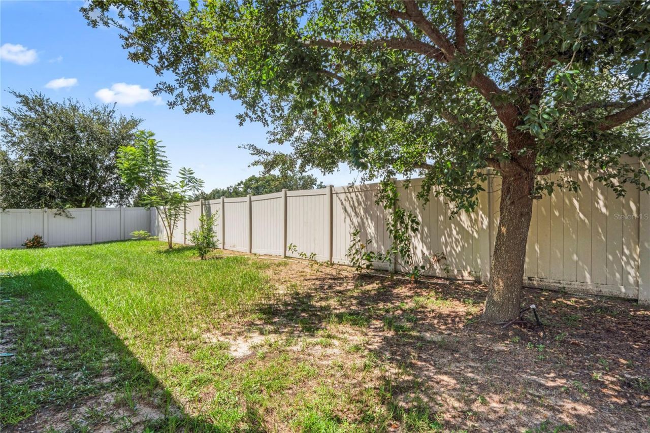 4514 Highfalls Drive, Valrico, FL 33594 Photo