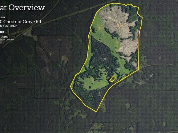 2450 Chestnut Grove Road, Shiloh, GA 31826