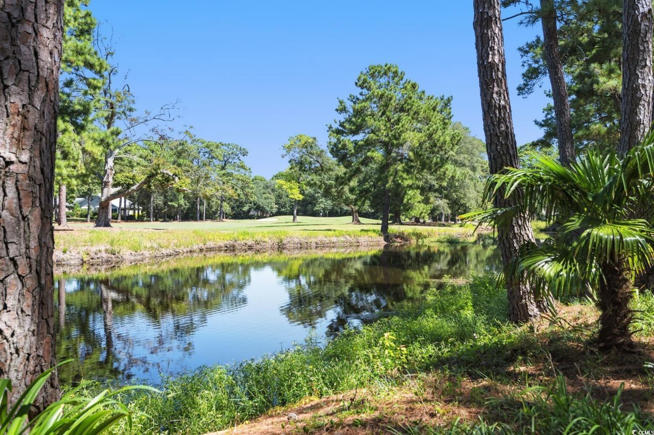 695 Country Club Dr. Photo 4