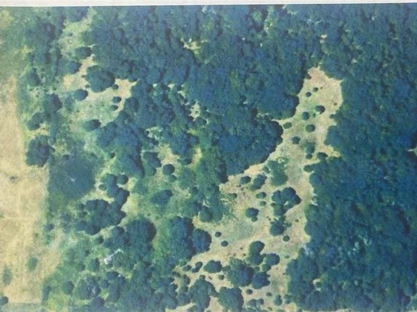 8018 E 44th Street, Ripley, OK 74062