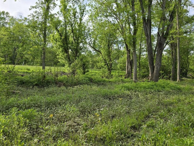 Tract 2 Folsom Jonesville Road, Glencoe, KY 41046 Photo 3