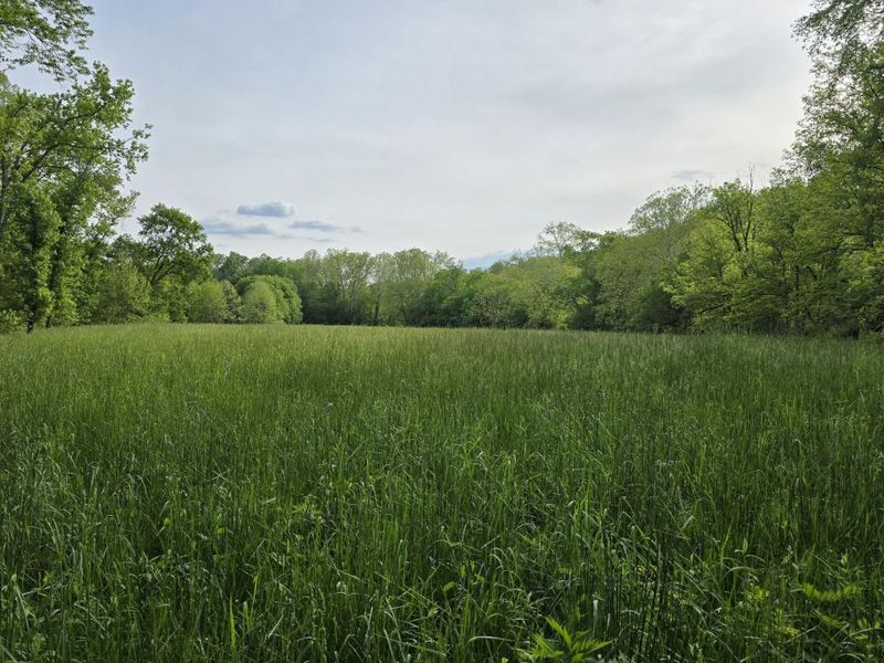 Tract 2 Folsom Jonesville Road, Glencoe, KY 41046 Photo 4