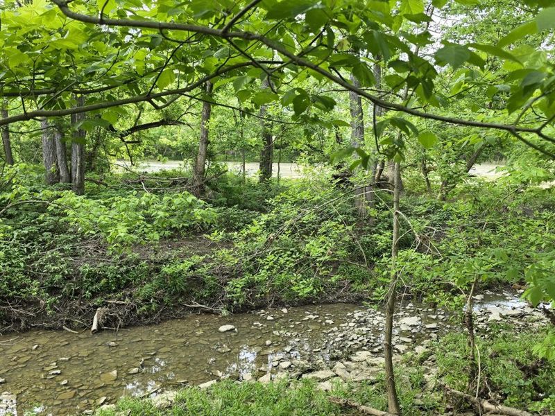 Tract 2 Folsom Jonesville Road, Glencoe, KY 41046 Photo 5