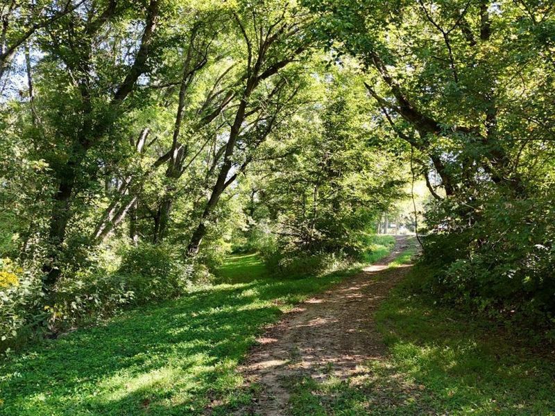 Tract 2 Folsom Jonesville Road, Glencoe, KY 41046 Photo 8