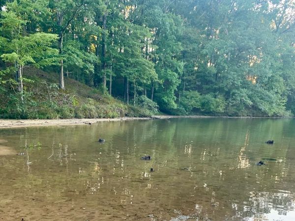 29 LAKEWOOD DR, Unicorp/Saulsbury, TN 38067