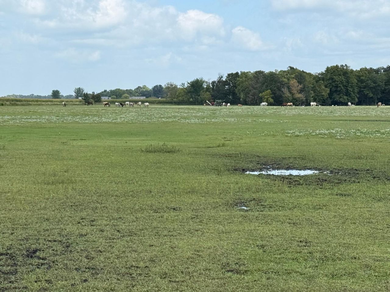 38388 512th St, North Mankato, MN 56003