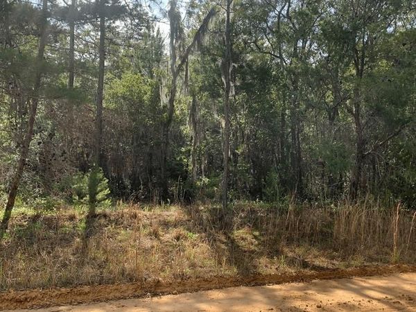 0 Shappell Avenue, Interlachen, FL 32148