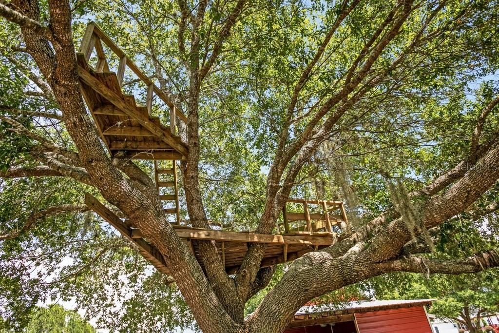 643 E State Road 100, San Mateo, FL 32187 Photo