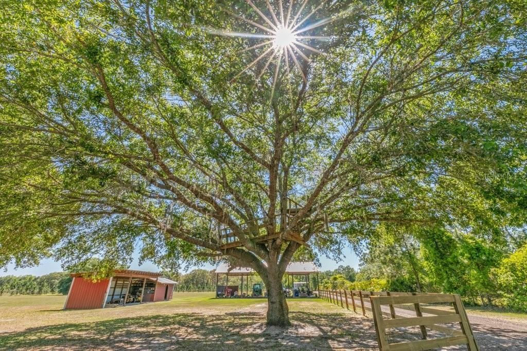 643 E State Road 100, San Mateo, FL 32187 Photo