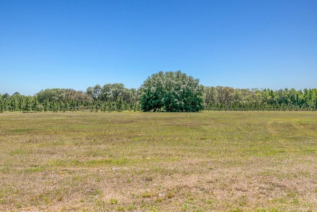 643 E State Road 100, San Mateo, FL 32187 Photo