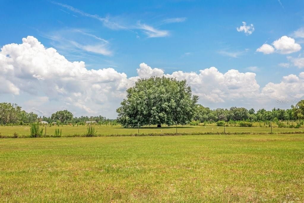 643 E State Road 100, San Mateo, FL 32187 Photo