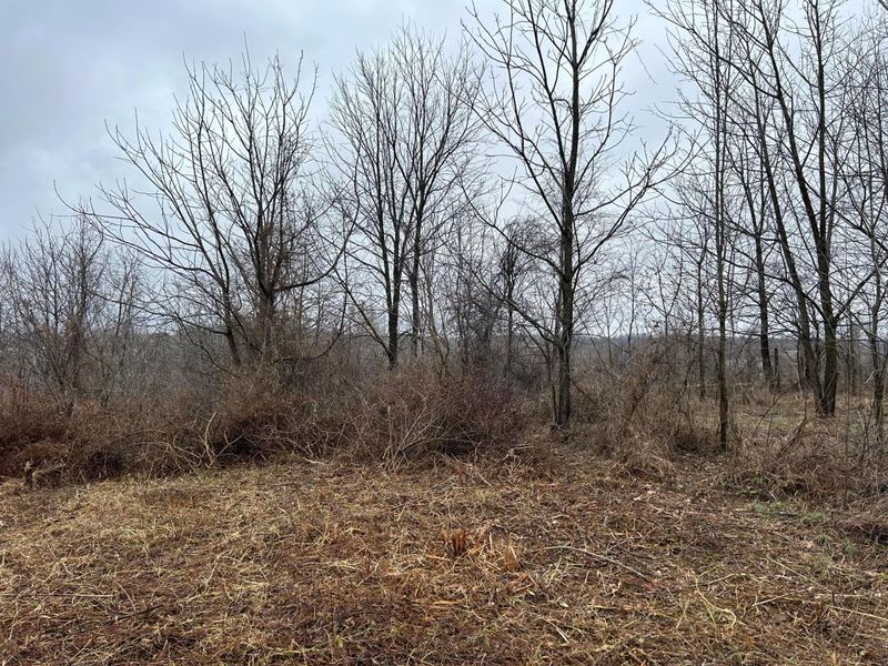 5445 S Duncan Road SW, Lancaster, OH 43130 Photo 53