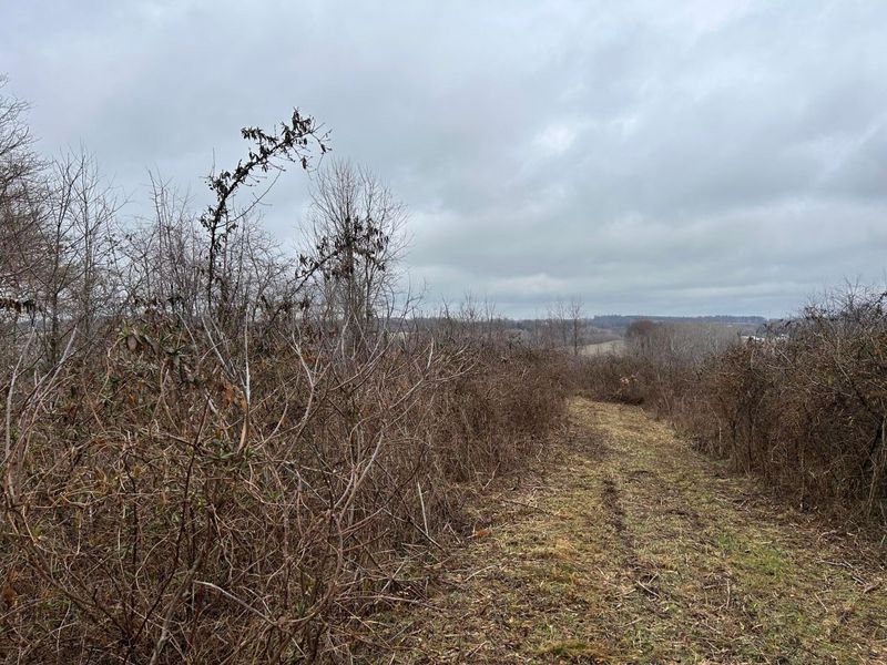 5445 S Duncan Road SW, Lancaster, OH 43130 Photo 57