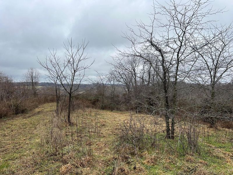 5445 S Duncan Road SW, Lancaster, OH 43130 Photo 58