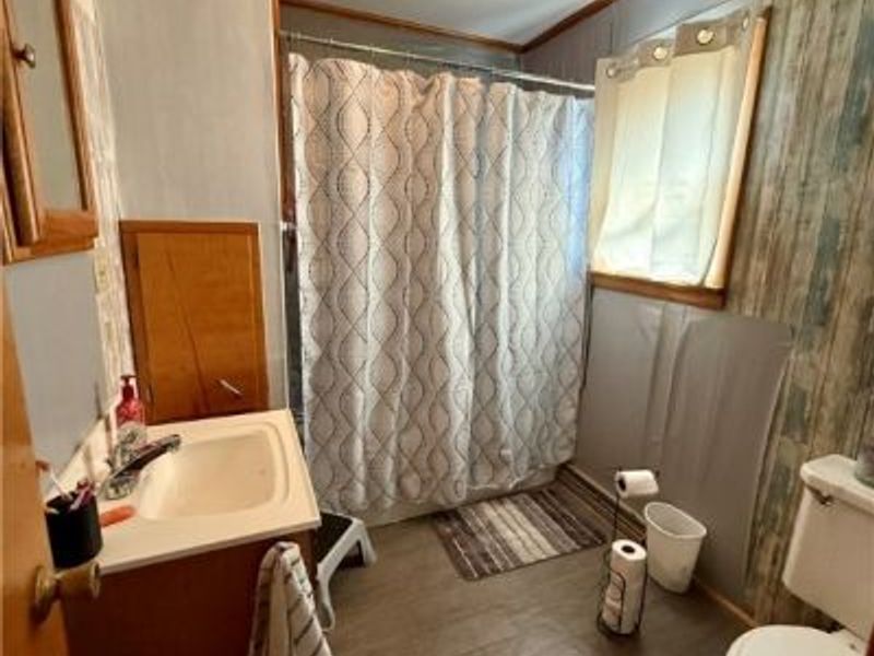 381 3rd Street, Bergholz, OH 43908 Photo 8