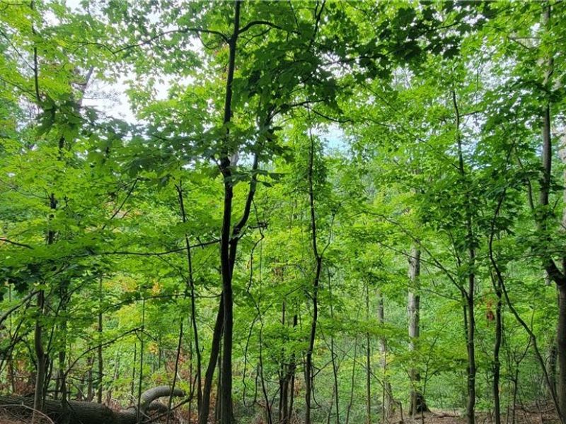 22601 Harms Road, Cleveland, OH 44143 Photo 17