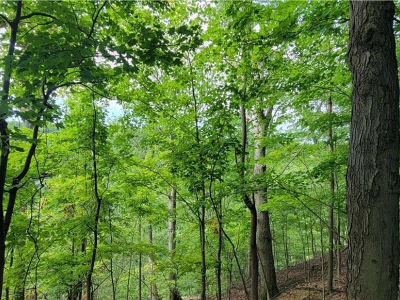 22601 Harms Road, Cleveland, OH 44143 Photo 18