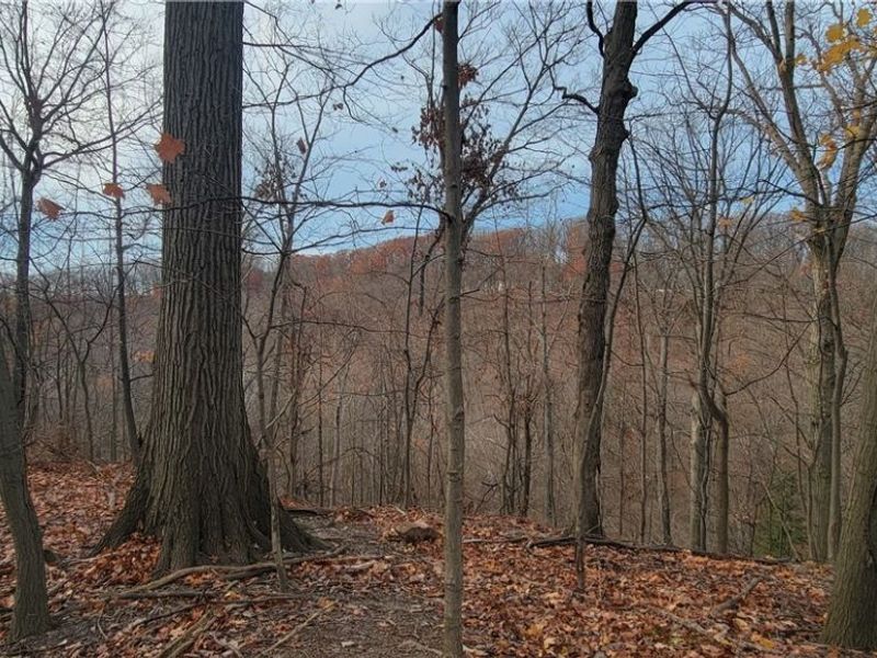 22601 Harms Road, Cleveland, OH 44143 Photo 37