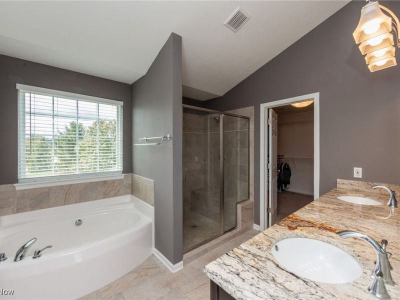 4186 Maidstone Lane, Medina, OH 44256 Photo 24