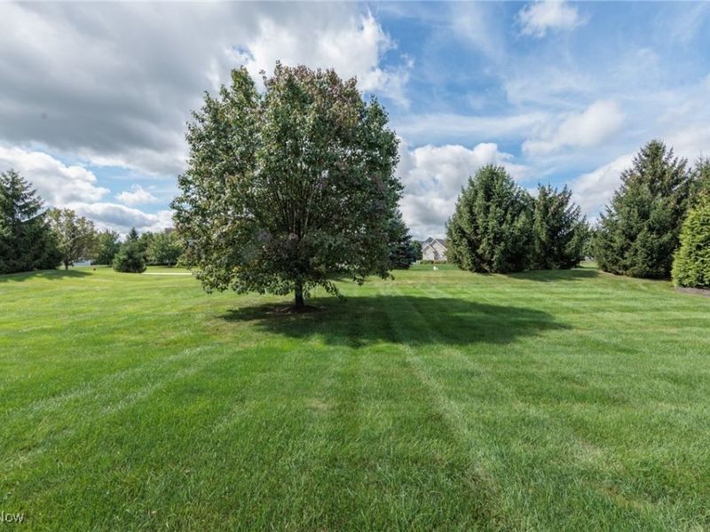 4186 Maidstone Lane, Medina, OH 44256 Photo 47