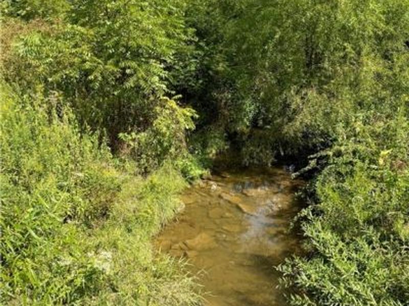 Aster Road, Carrollton, OH 44615 Photo 4