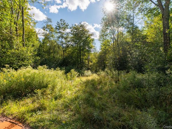 Maccabee Road, Roscoe, NY 00000