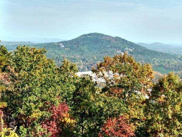 0 Daybreak Road, Unit TR 4, Cleveland, GA 30528