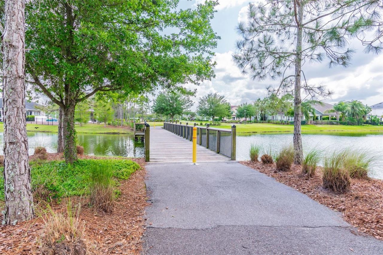 2409 Hearth Drive, Odessa, FL 33556 Photo