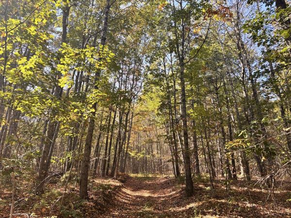 150 Bowden Point Road, Prospect, ME 04981