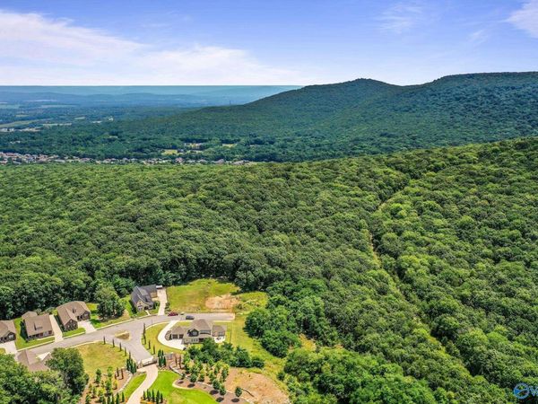 35.5 Acres Hawks Way, Huntsville, AL 35811