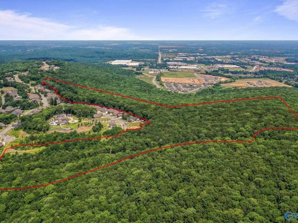 64 Acres Hawks Way, Huntsville, AL 35811