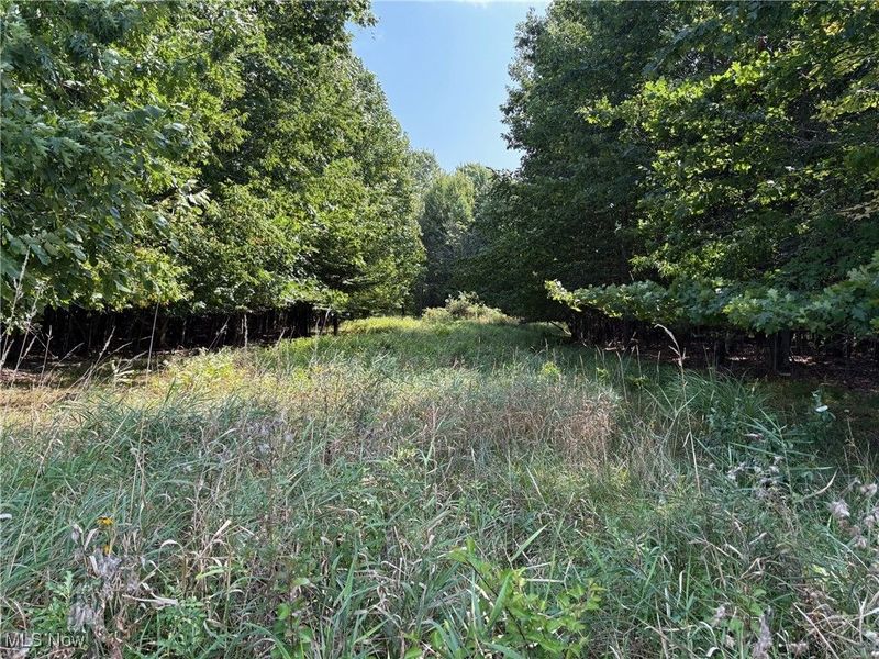 V/L Myrtle Lane, Brunswick, OH 44212 Photo 2