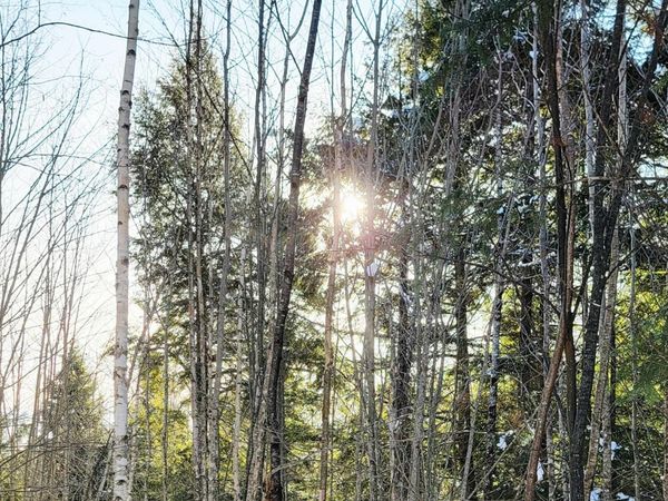 B-2BackLot Pioneer Path, Aurora, ME 04605