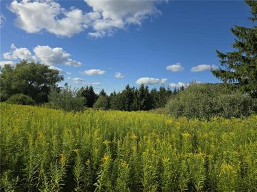 0 Call Hill Road, Andover, NY 14806