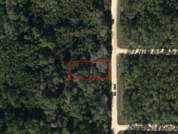 0 Ida Boulevard, Interlachen, FL 32148