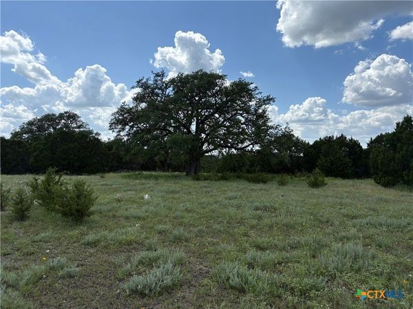 TBD Deer Run Court , Evant, TX 76525