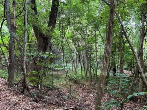 Gum Springs Road , Parthenon, AR 72666